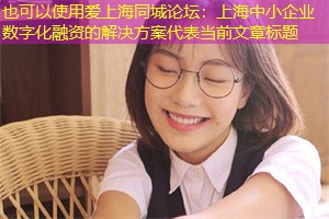 上海中小企业数字化融资的解决方案